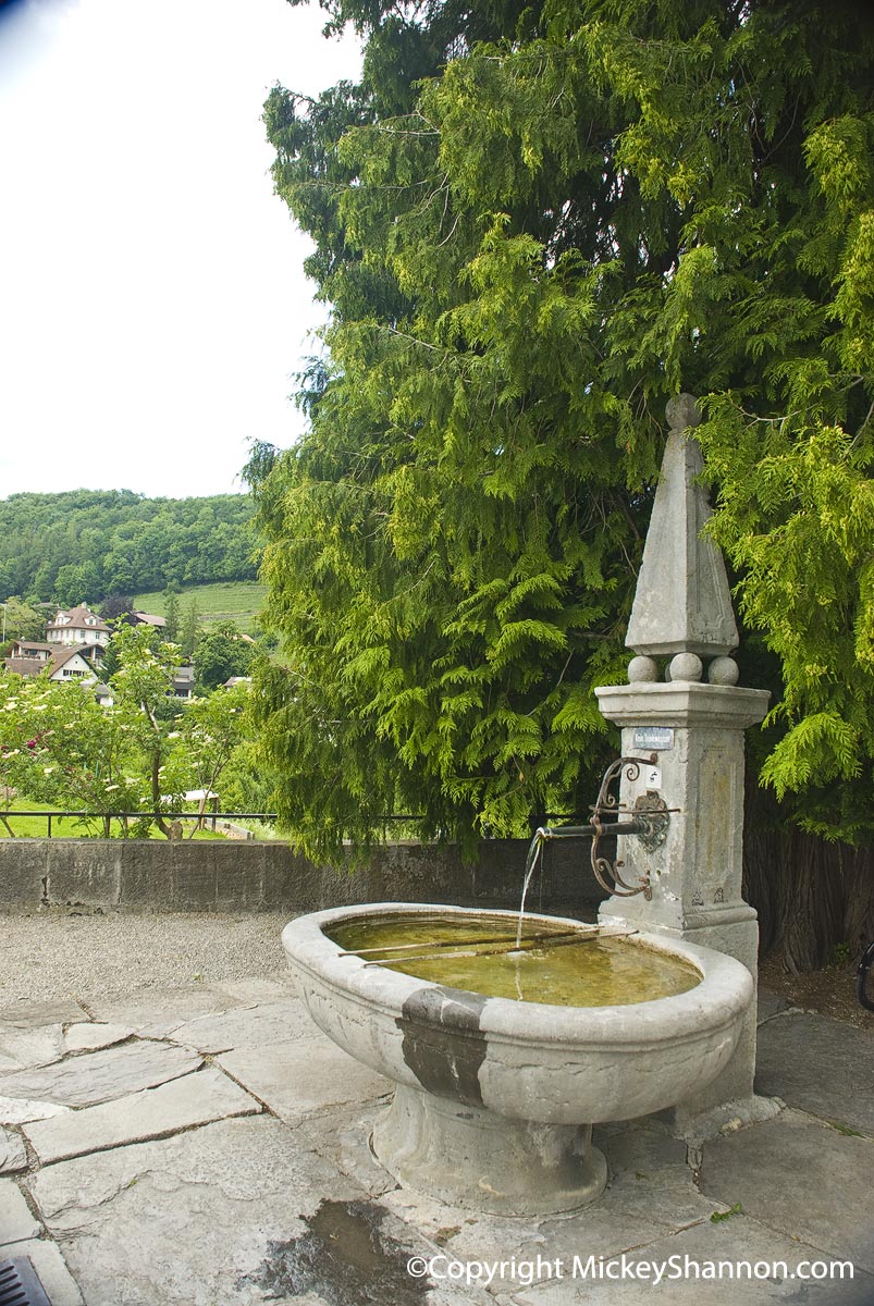 Spiez Castle Fountain