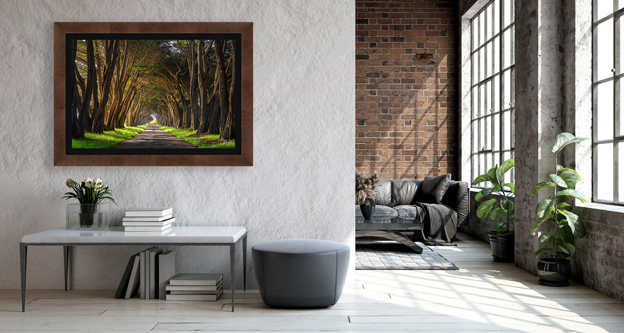 Interior Design for the Home with Fine Art Nature Photography