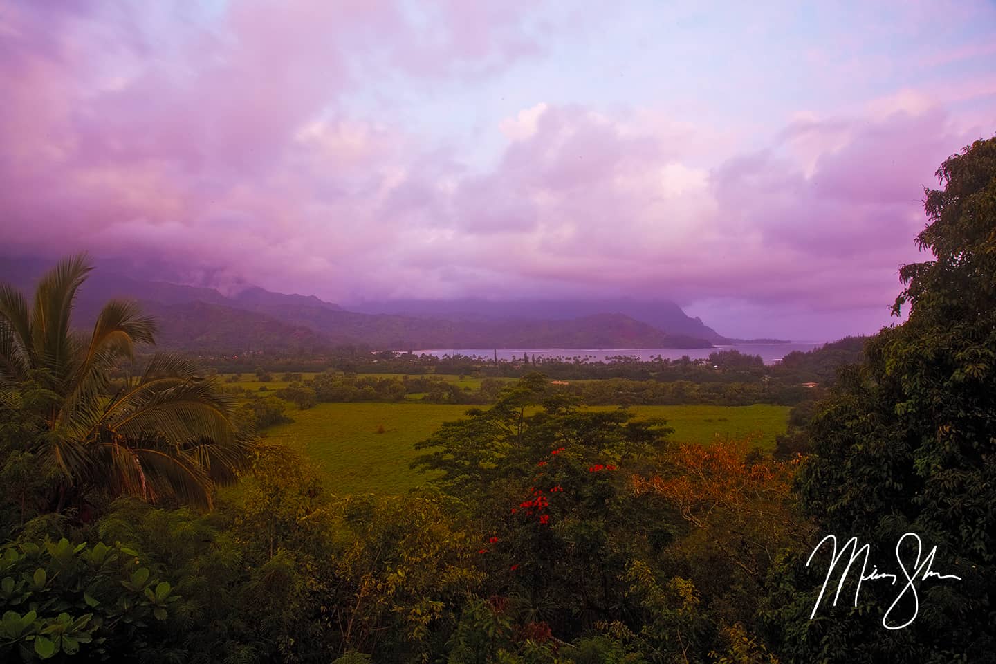 Purple Hanalei Bay
