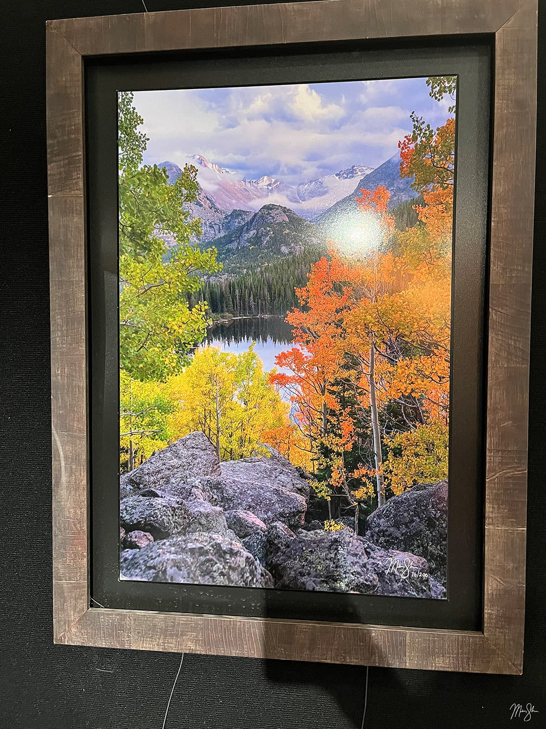 Bear Lake Beauty on Clearance Sale