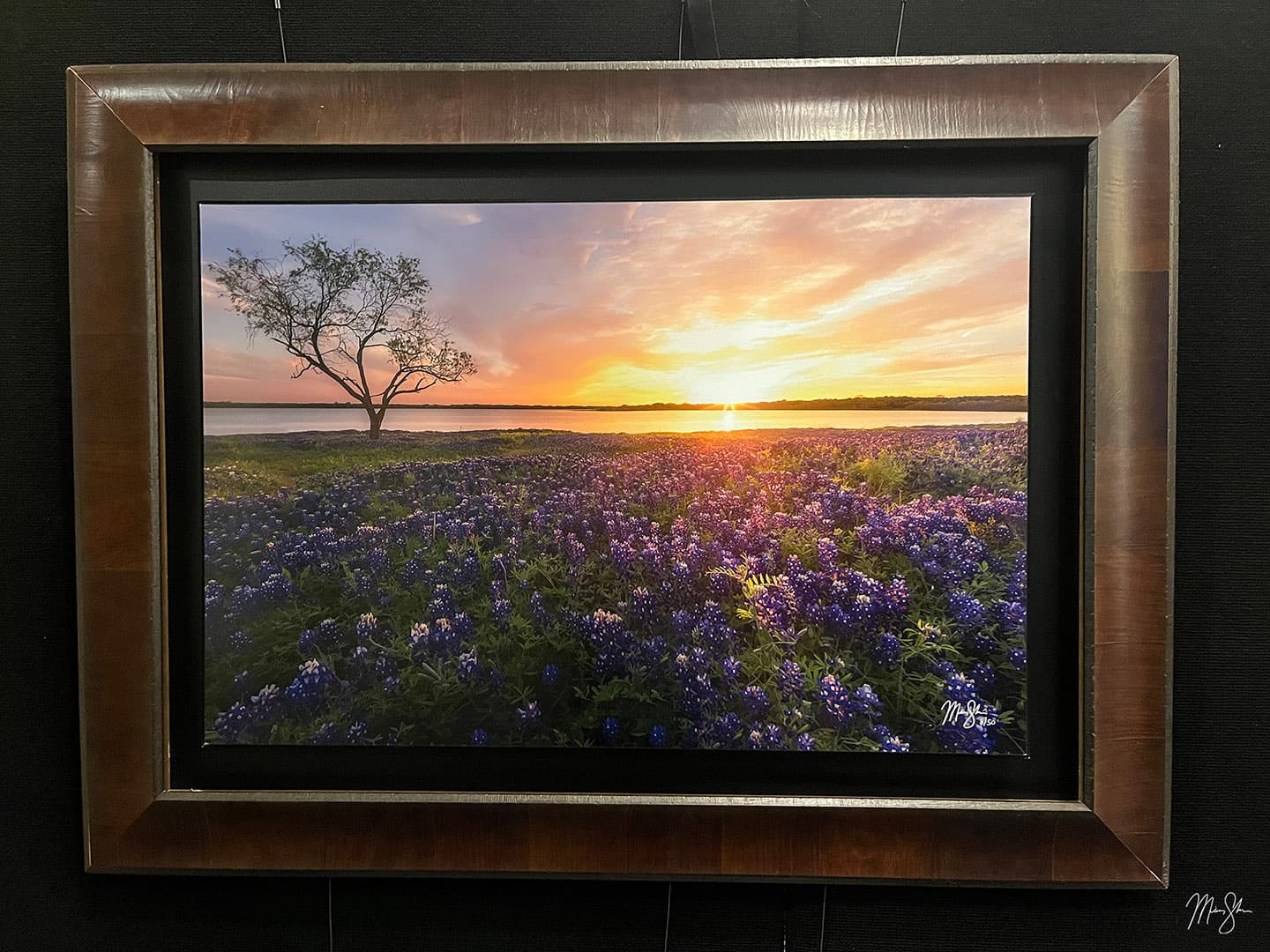 Ennis Bluebonnet Sunburst Sunset on Clearance Sale