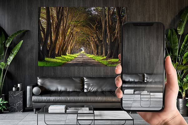 Free Art Mockups & Virtual Art Consultation | Picture of a Phone showcasing a mockup of a blank wall before and a photo of Bear Lake after