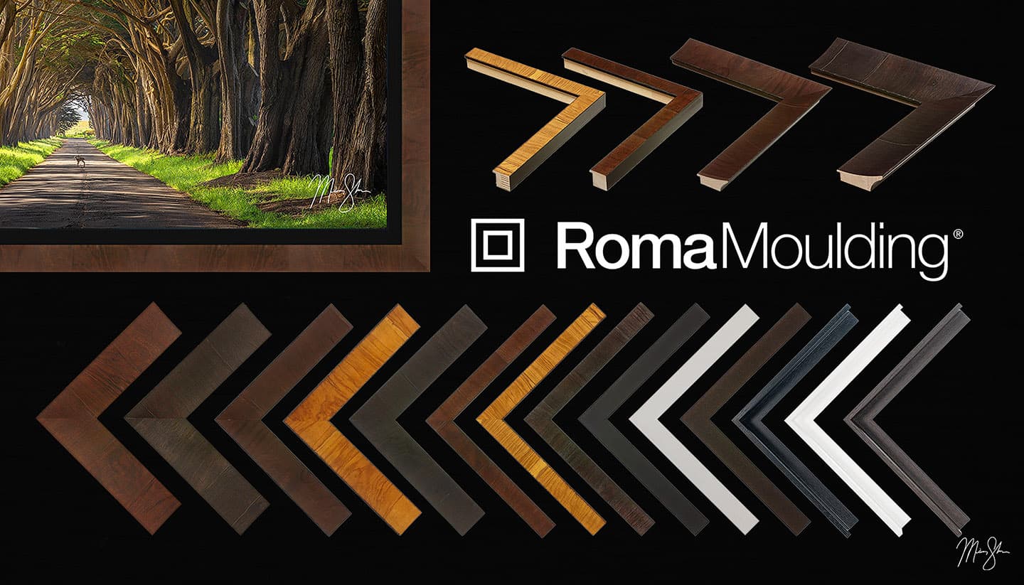 ROMA Moulding Samples