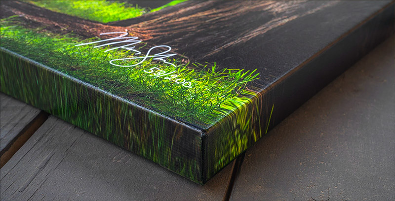 Chromaluxe Metal Prints (Ready to Hang)