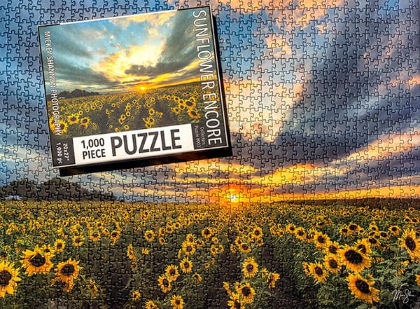Kansas sunflowers fine art photography puzzle featuring vibrant sunflower field