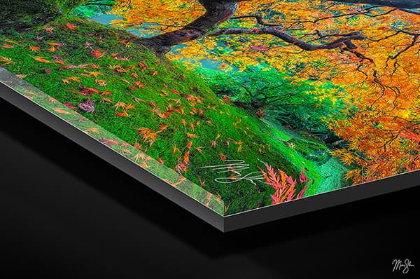 Acrylic Print of Thunderbird from the Portland Japanese Garden