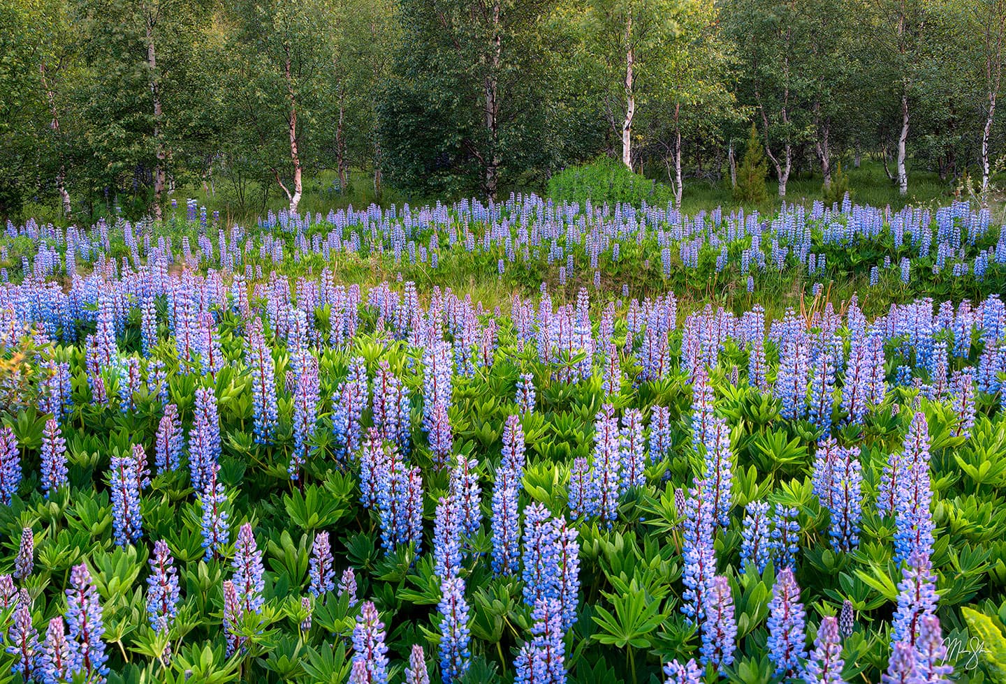 1:30 a.m. in Iceland - Eastern Iceland