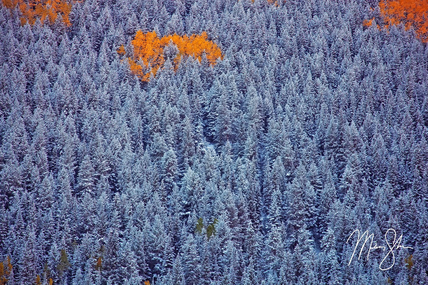 A Hint of Autumn - Maroon Bells, Aspen, Colorado