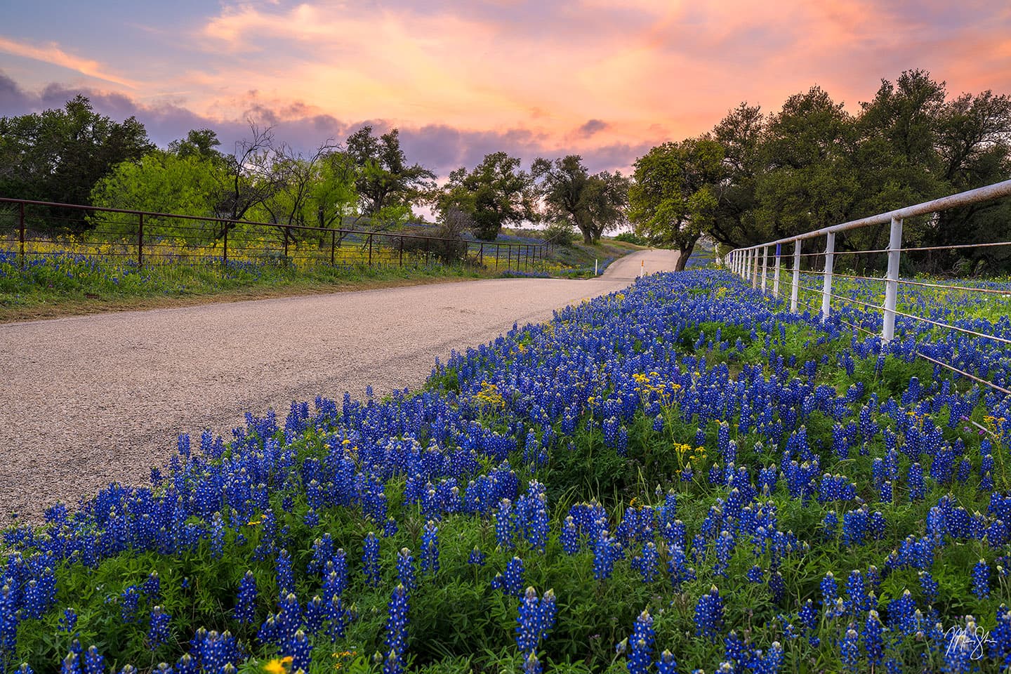 A Morning in the Texas Hill Country - Willow City Loop, Texas Hill Country, Fredericksburg, Texas