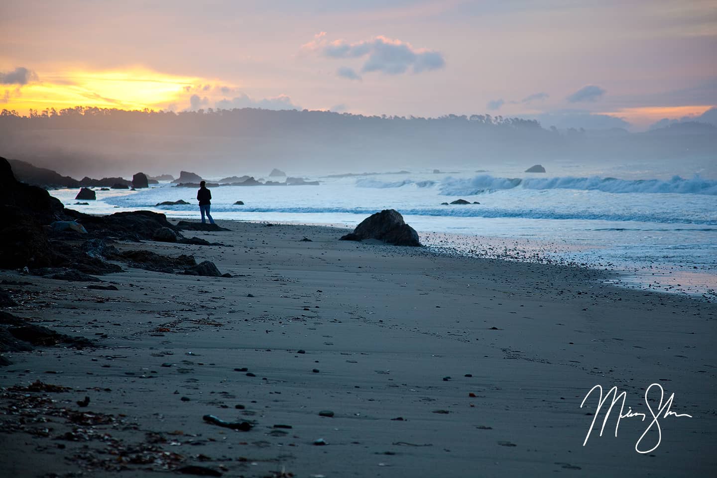 A Walk on the Beach - San Simeon, California