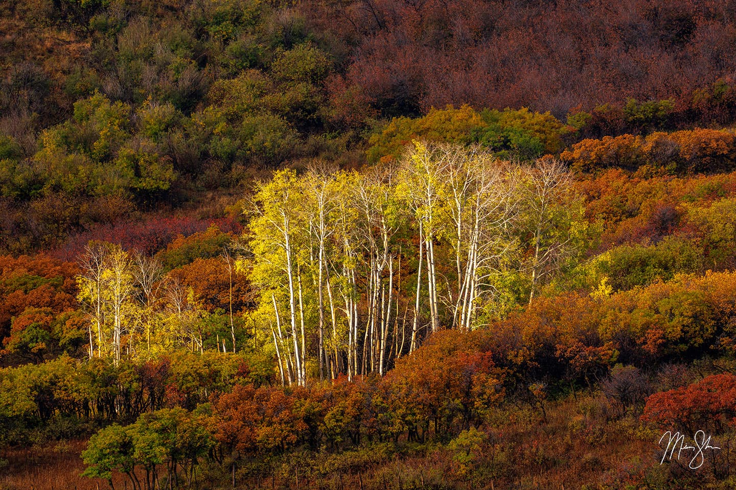 All Lit Up - Last Dollar Road, Colorado