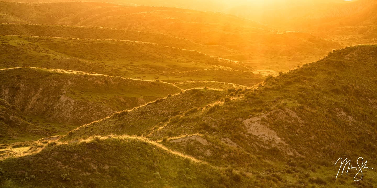 Arikaree Breaks Golden Light - Arikaree Breaks, Kansas