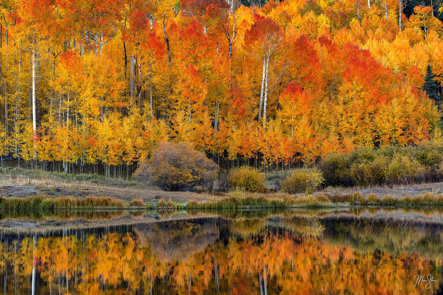 Aspen Fire on the Lake - San Juan Mountains, Colorado