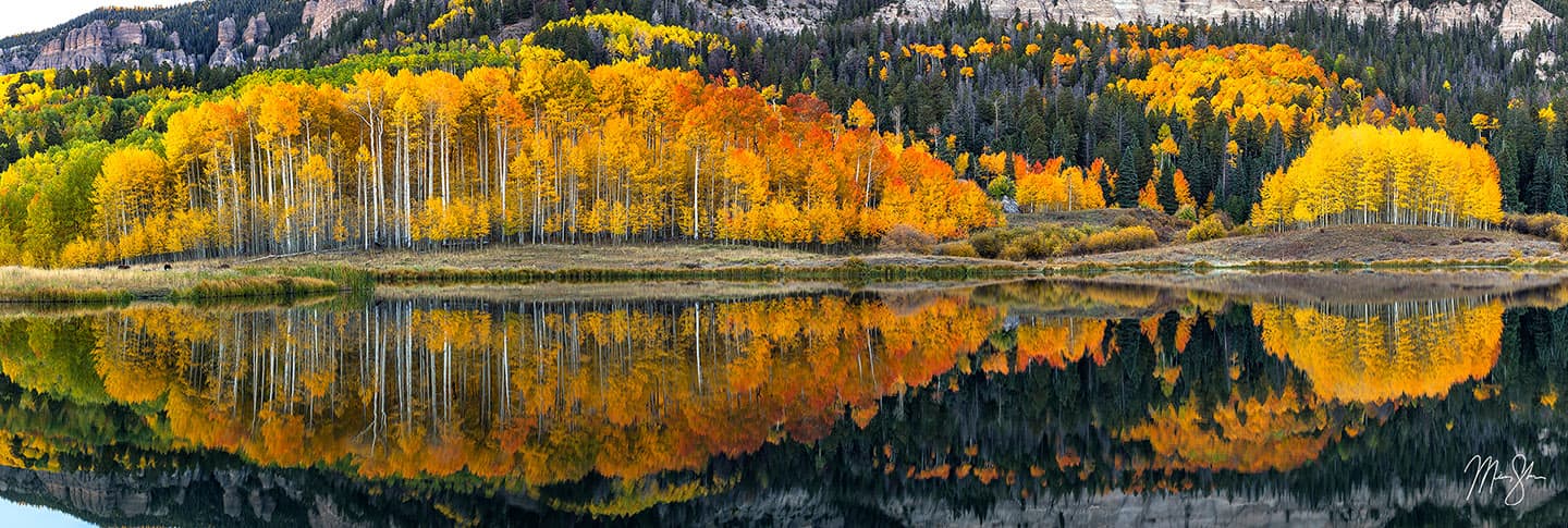 Aspen Reflections - San Juan Mountains, Colorado