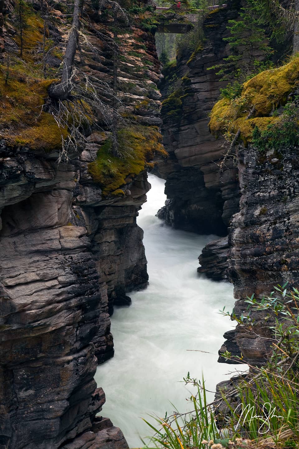 Athabasca Falls