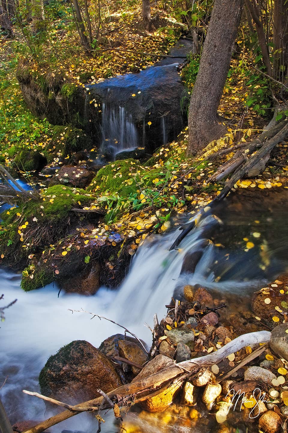 Autumn at Boulder Brook - Boulder Brook, Rocky Mountain National Park, Estes Park, Colorado