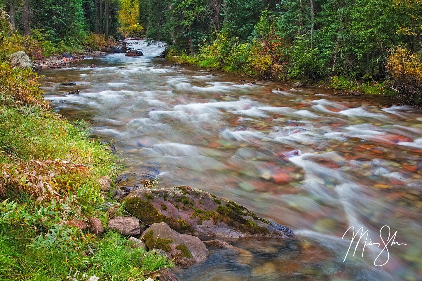 Autumn at Castle Creek - Castle Creek Road, Aspen, Colorado