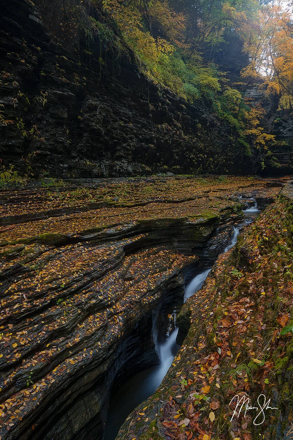 Autumn at the Narrows of Watkins Glen - Watkins Glen State Park, NY