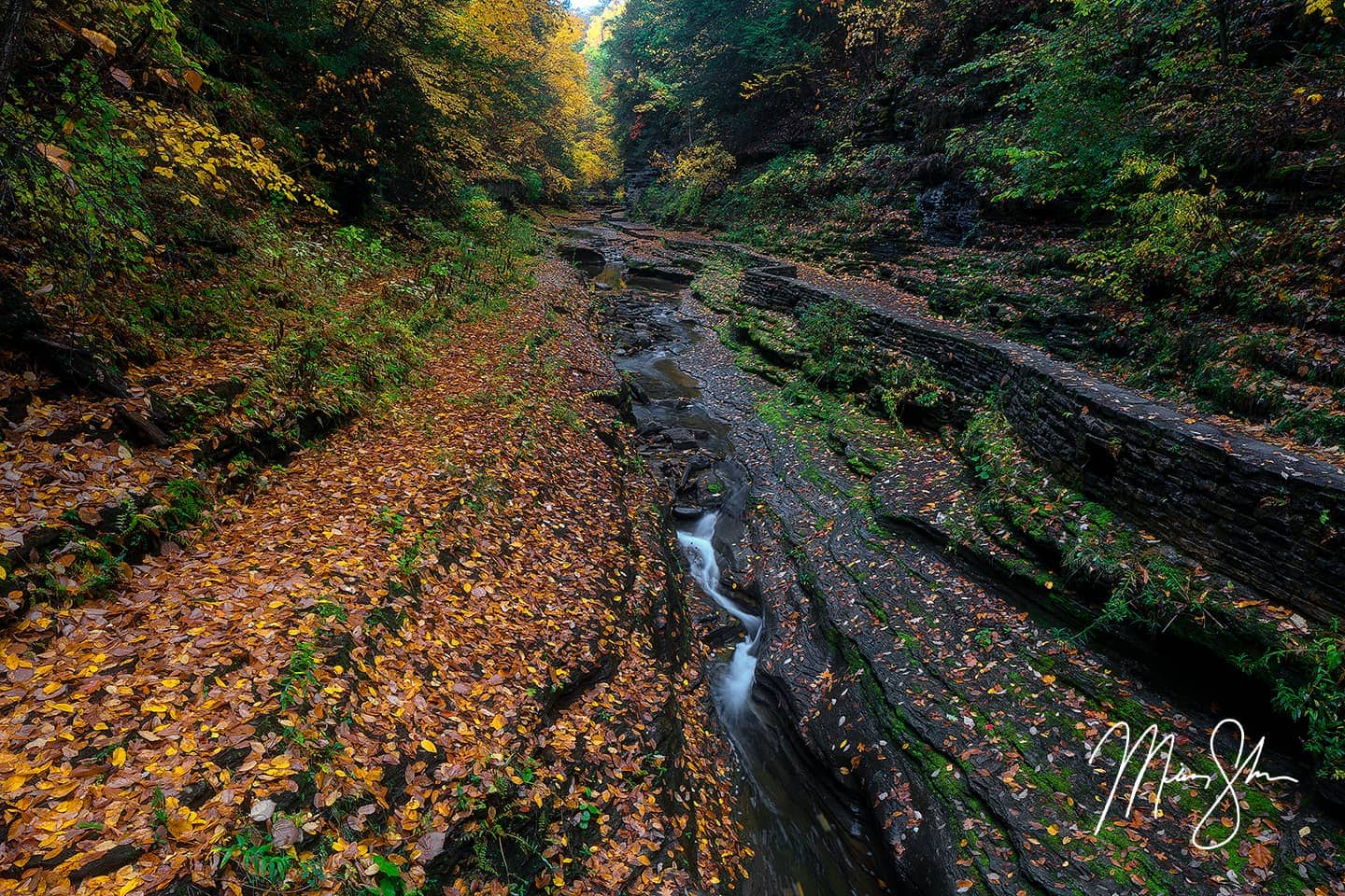 Autumn at Watkins Glen State Park - Watkins Glen State Park, NY