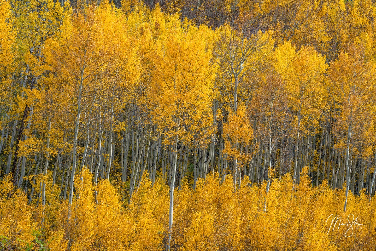 Autumn Beauty - Maroon Lake, Aspen, Colorado