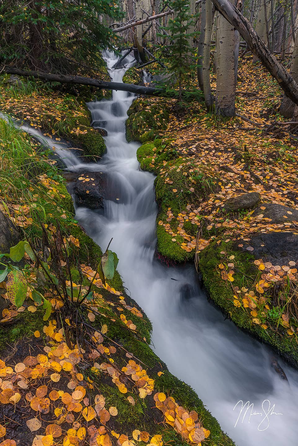 Autumn Cascades at the Boulder Brook - Boulder Brook, Rocky Mountain National Park, Colorado