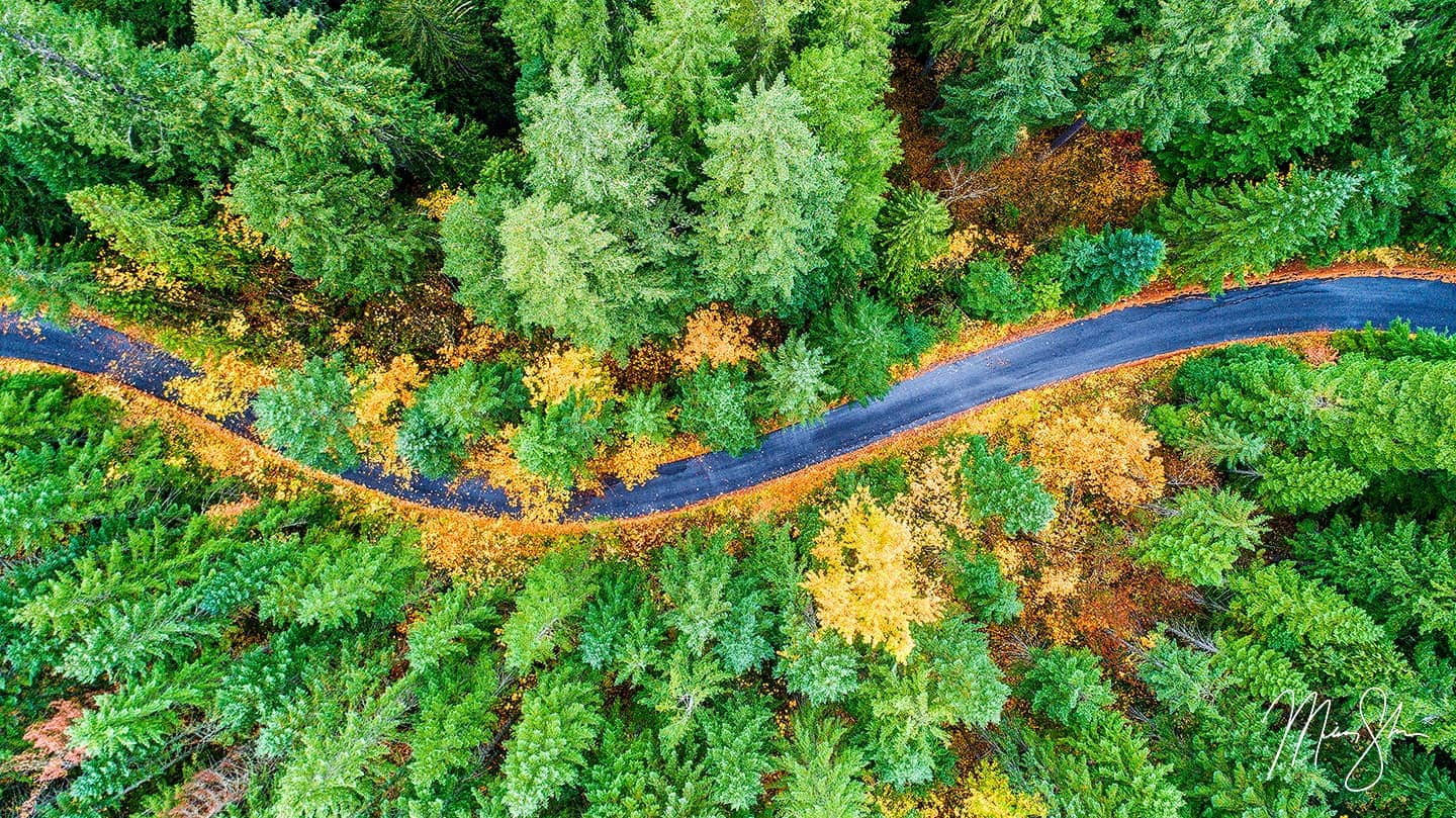 Autumn Curves - Columbia River Gorge, Washington