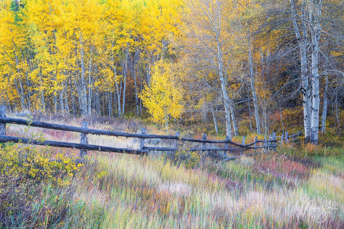 Autumn in the West - Snowmass Village, Colorado