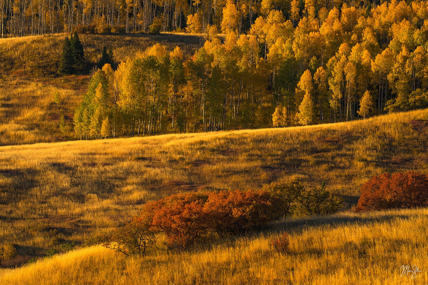 Autumn Light at the Flat Tops - Flat Tops Wilderness, Colorado