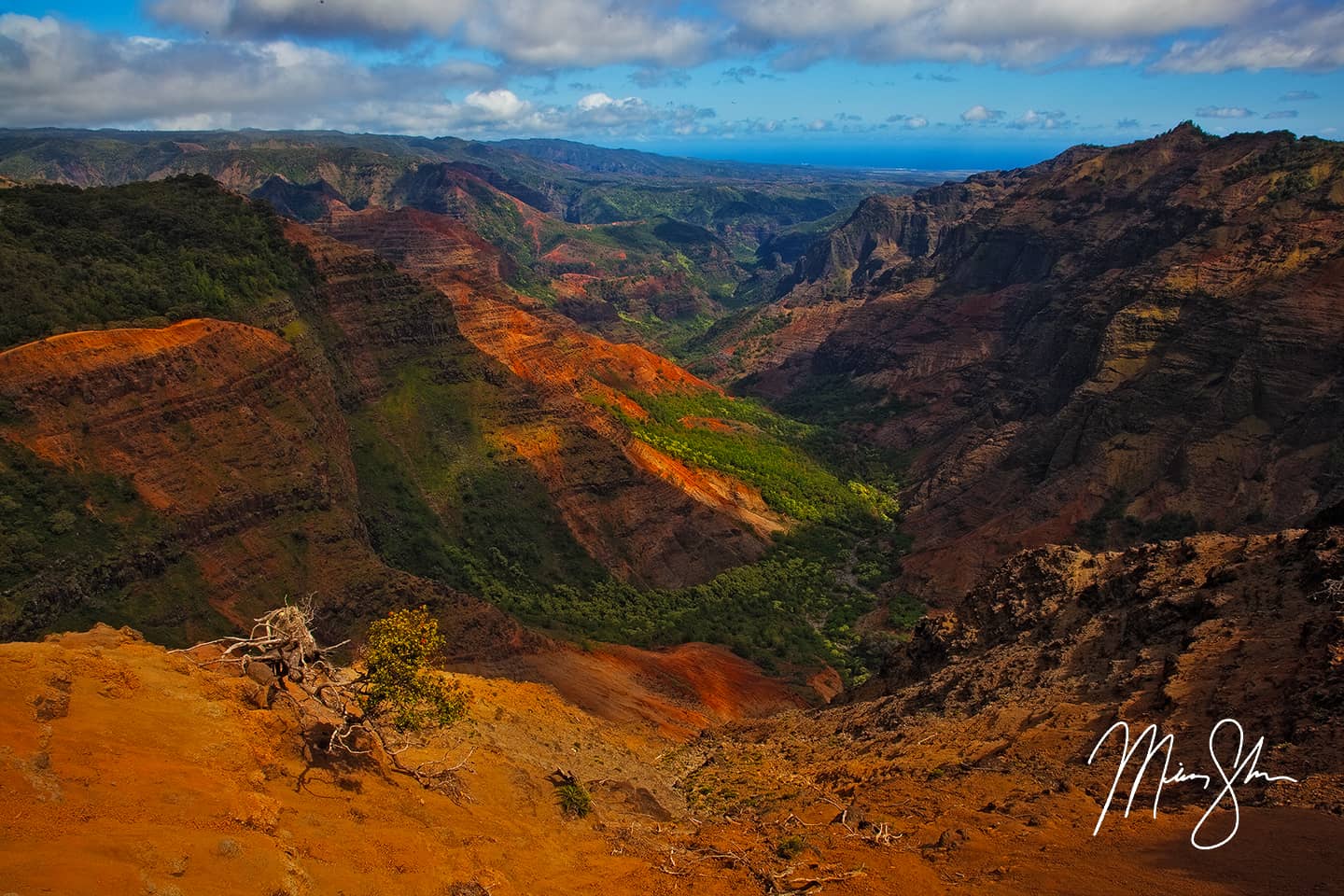 Beautiful Waimea Canyon - Waimea Canyon, Kauai, Hawaii