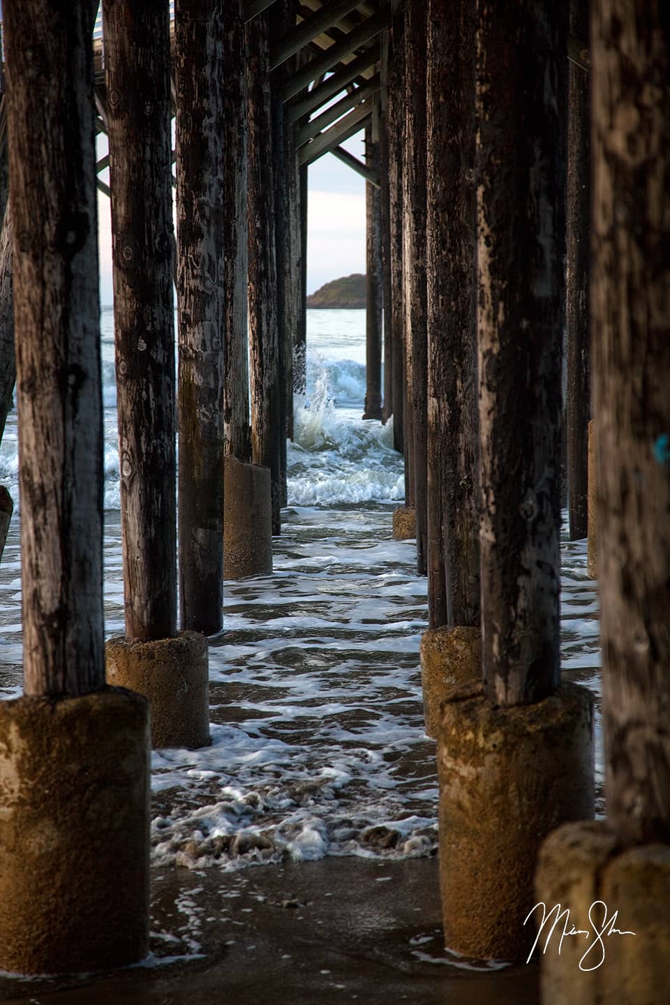 Between the Sticks - San Simeon, California