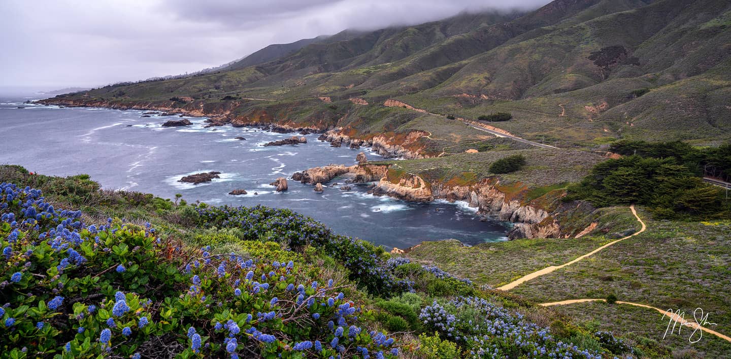 Big Sur Blues - Garrapata State Park, Big Sur, California