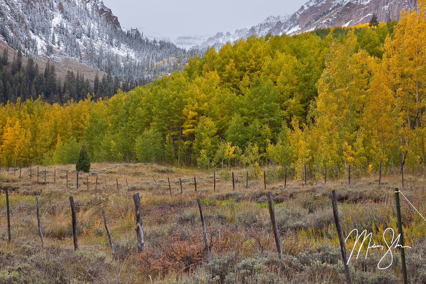 Blending of the Seasons - Castle Creek Road, Aspen, Colorado