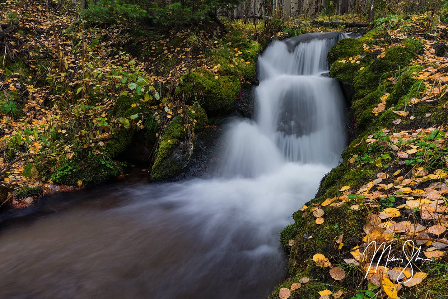 Boulder Brook Autumn Coating - Boulder Brook, Rocky Mountain National Park, Colorado