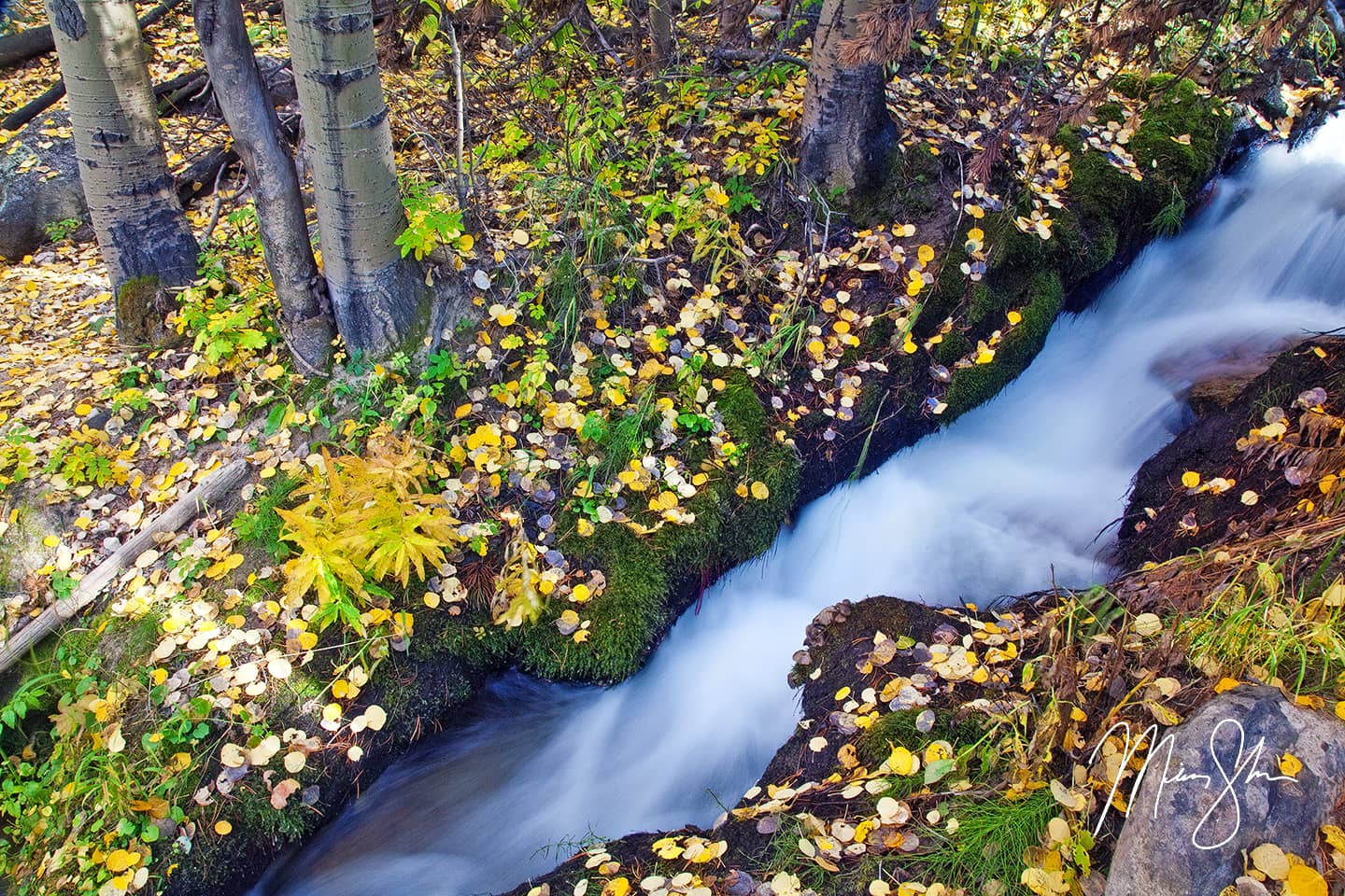 Boulder Brook Autumn Flow - Boulder Brook, Rocky Mountain National Park, Estes Park, Colorado