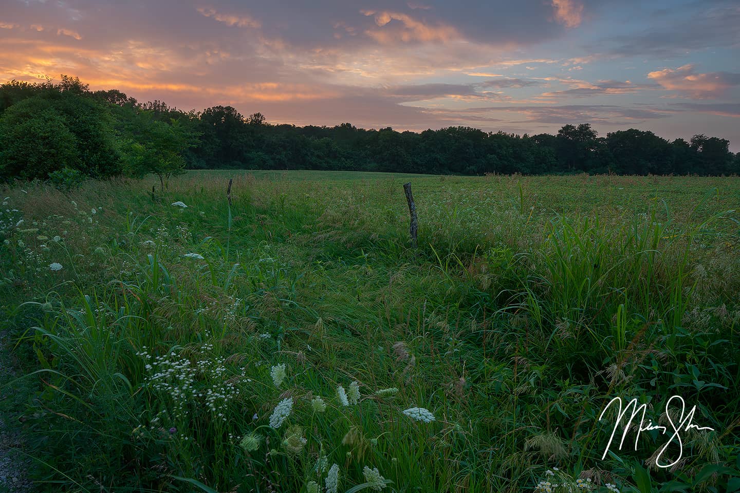 Bourbon County Sunset - Elsmore, KS