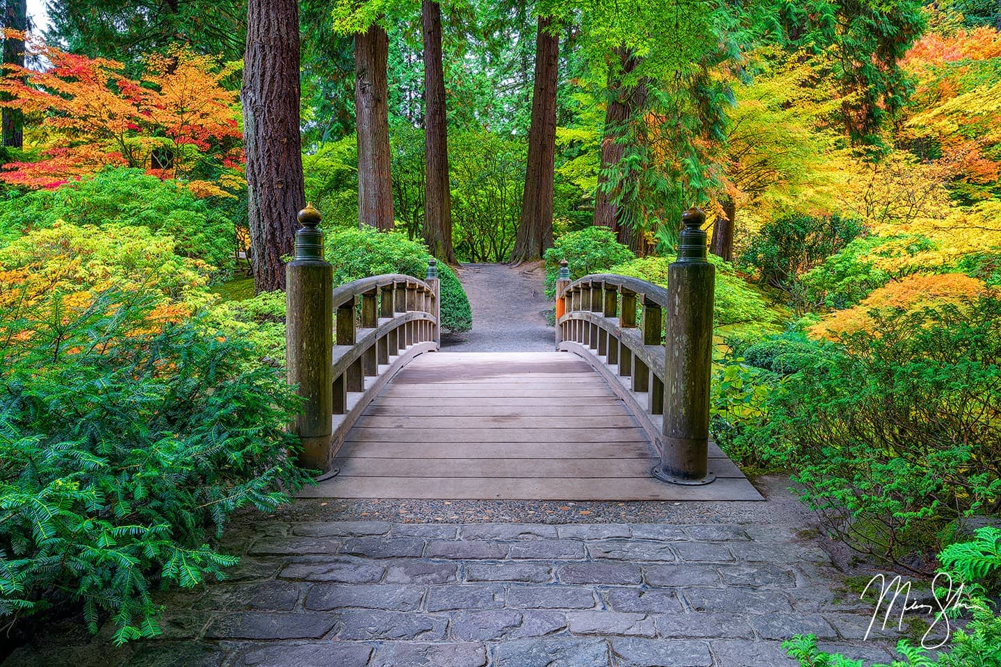 View across the moon bridge at the Portland Japanese Garden