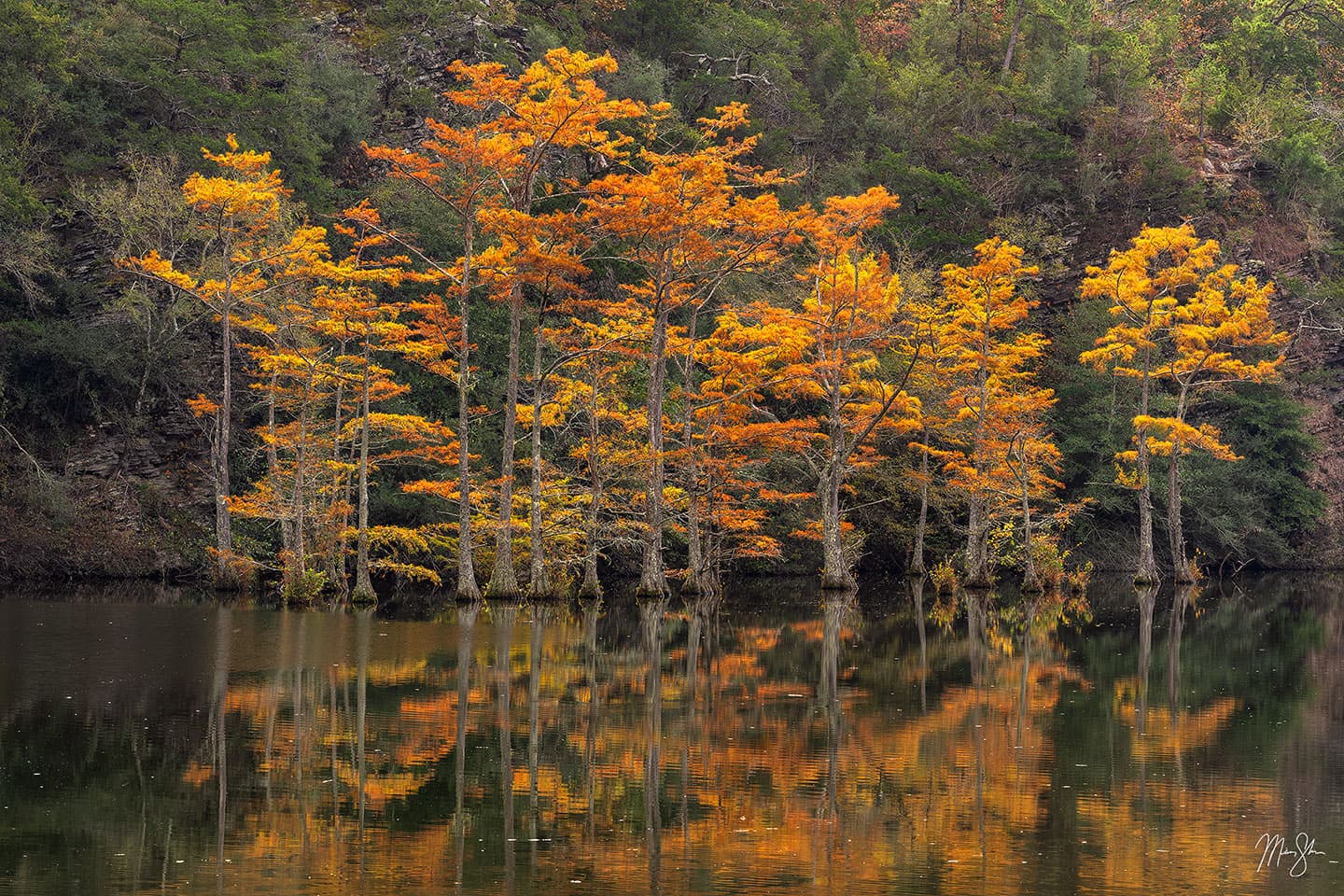 Broken Bow Beauty - Broken Bow Lake, Oklahoma