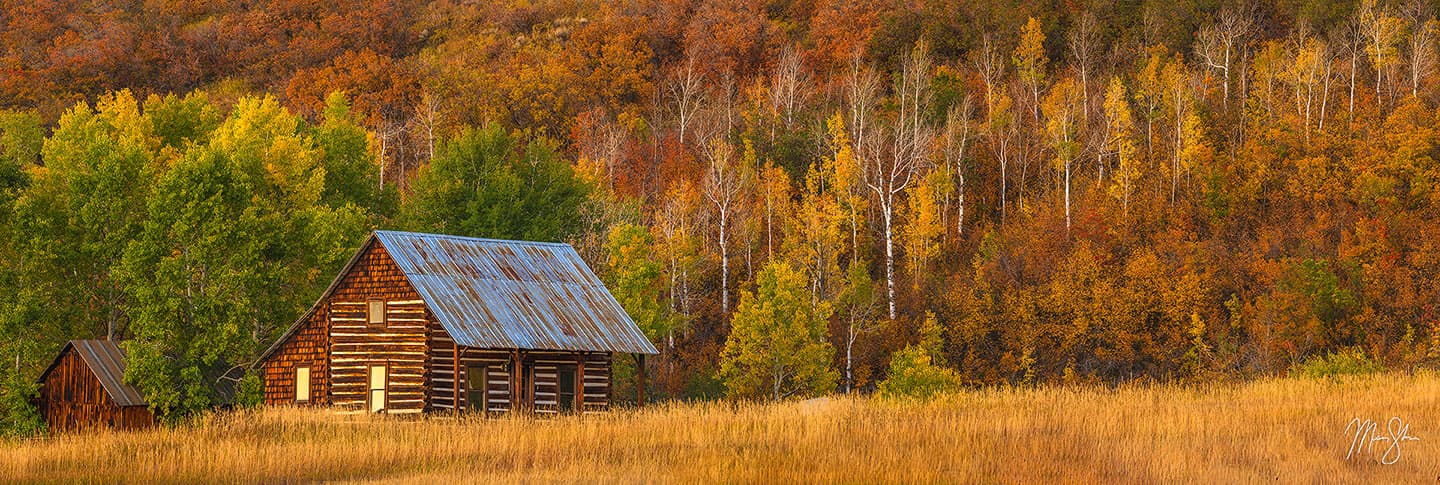 Cabin in the Woods - Steamboat Springs, Colorado