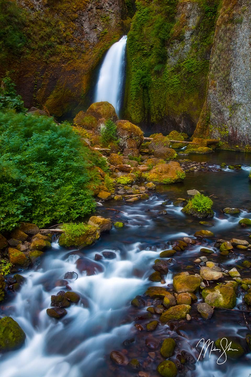 Cascades of Wahclella Falls - Wahclella Falls, Columbia River Gorge, Oregon, USA