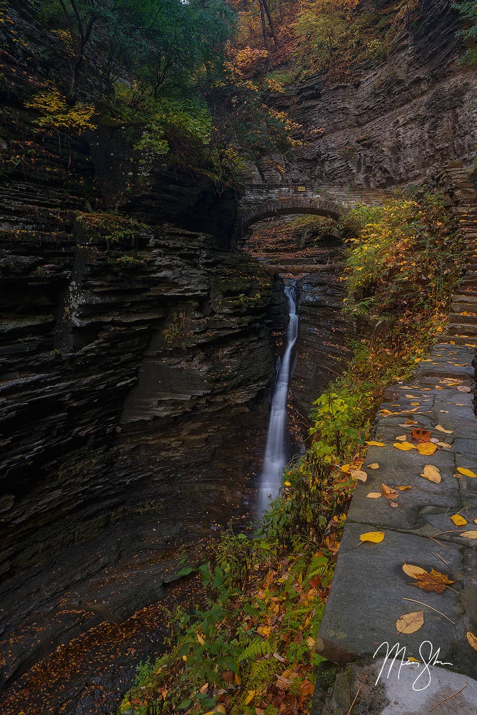 Central Cascade of Watkins Glen - Watkins Glen State Park, NY