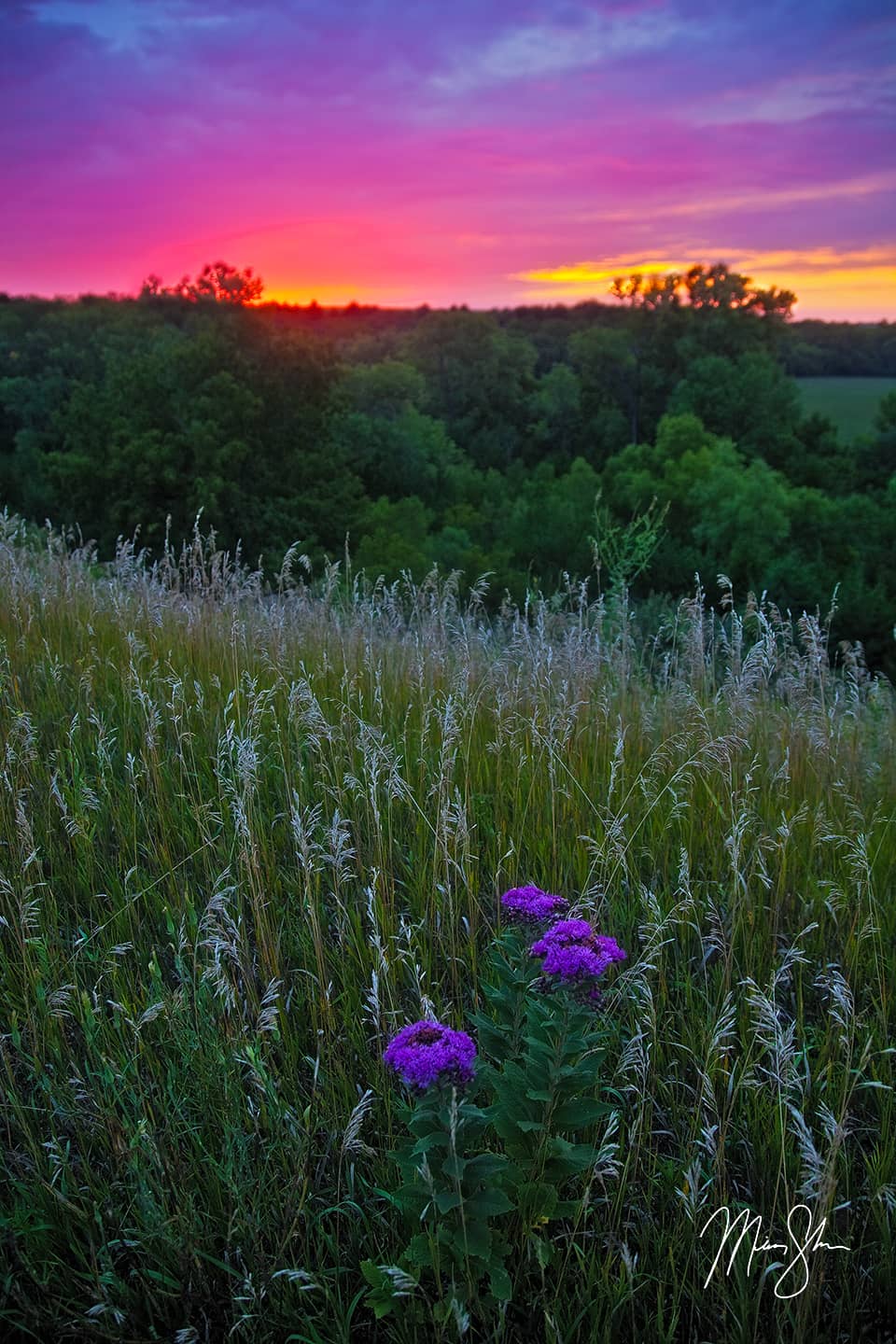 Colorful Kansas Sunset - Geary State Fishing Lake, near Junction City, Kansas