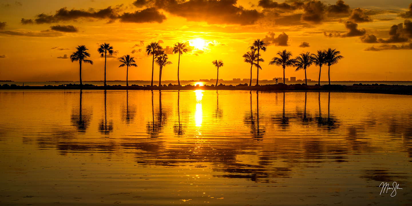 Coral Gables Sunrise - Matheson Hammock Park, Coral Gables, Florida