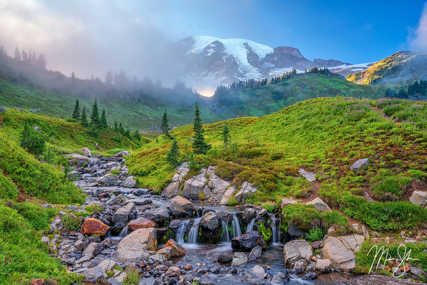 Dreaming of Rainier - Mount Rainier National Park, Washington