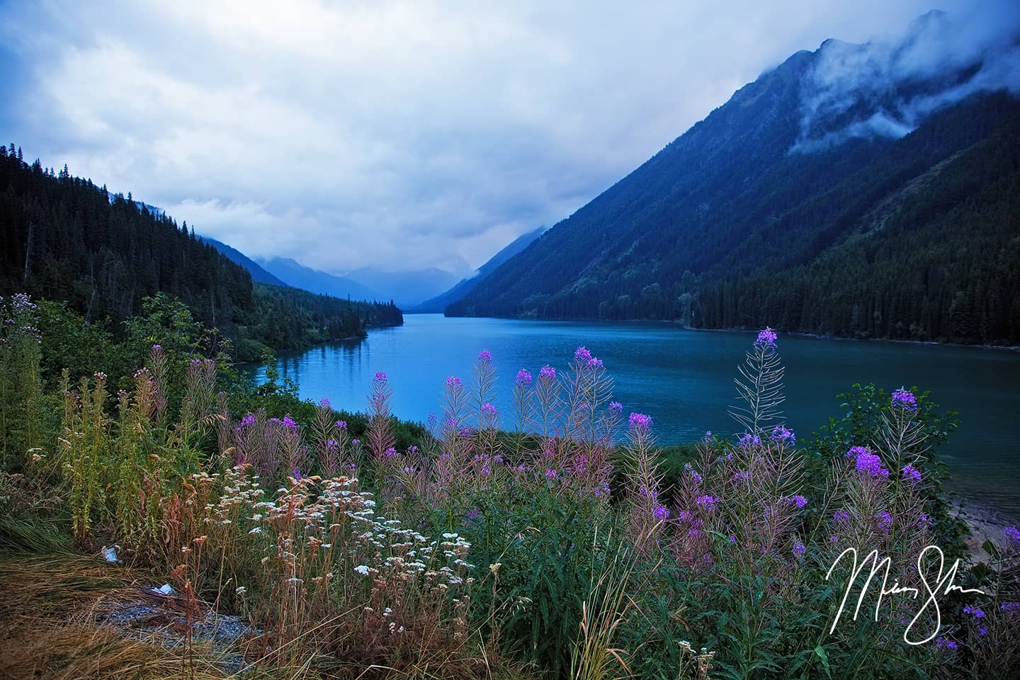 Duffey Lake Flowers - Duffey Lake, British Columbia, Canada