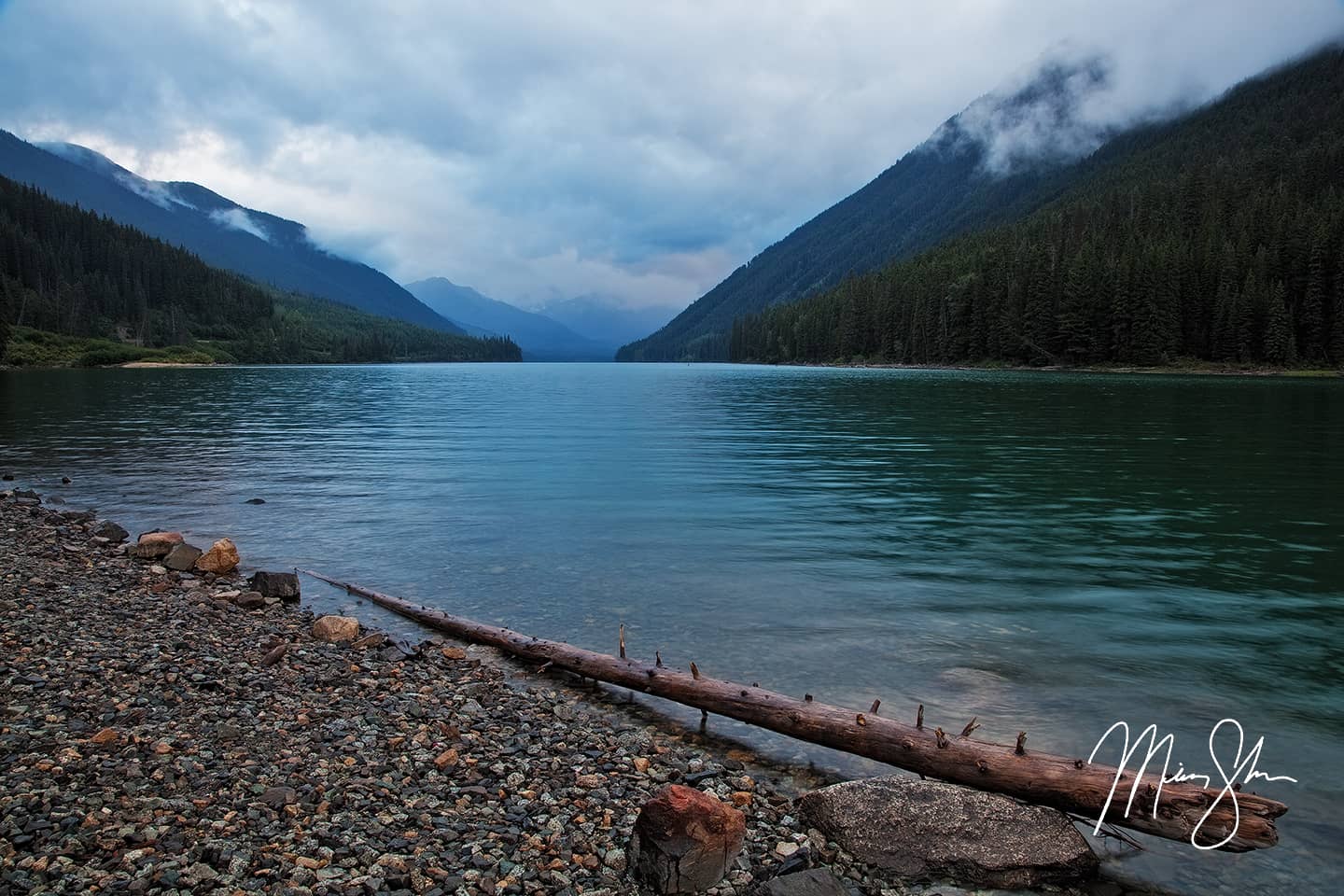 Duffey Lake Shoreline - Duffey Lake, British Columbia, Canada