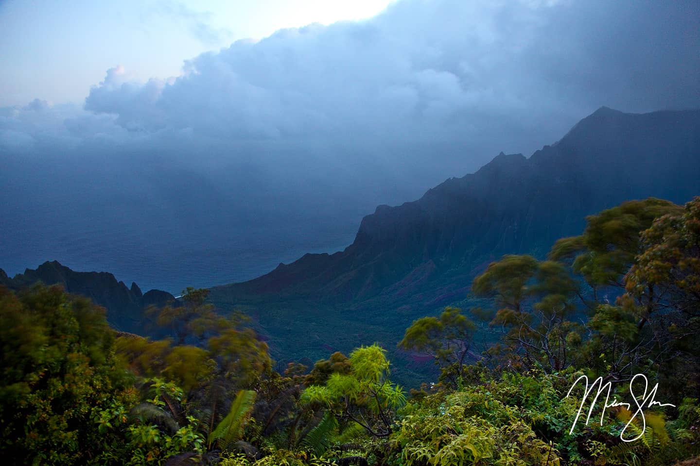 Early Morning at Kalalau Valley Lookout - Kalalau Valley Lookout, Kokee State Park, Kauai, Hawaii