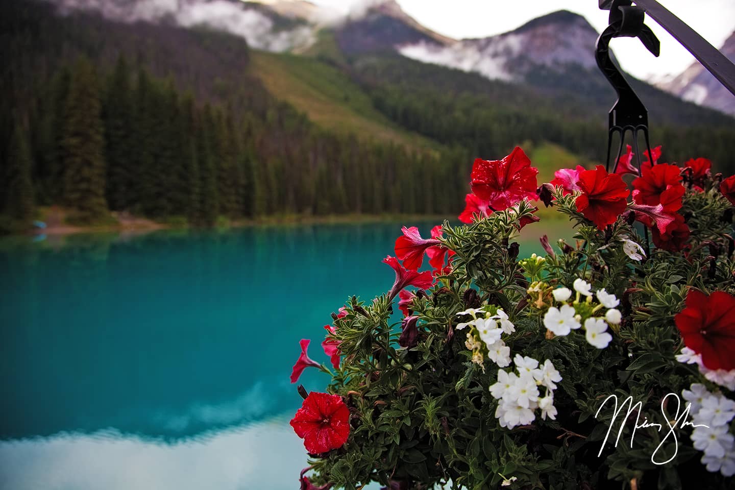 Emerald Beauty - Emerald Lake, Yoho National Park, British Columbia, Canada