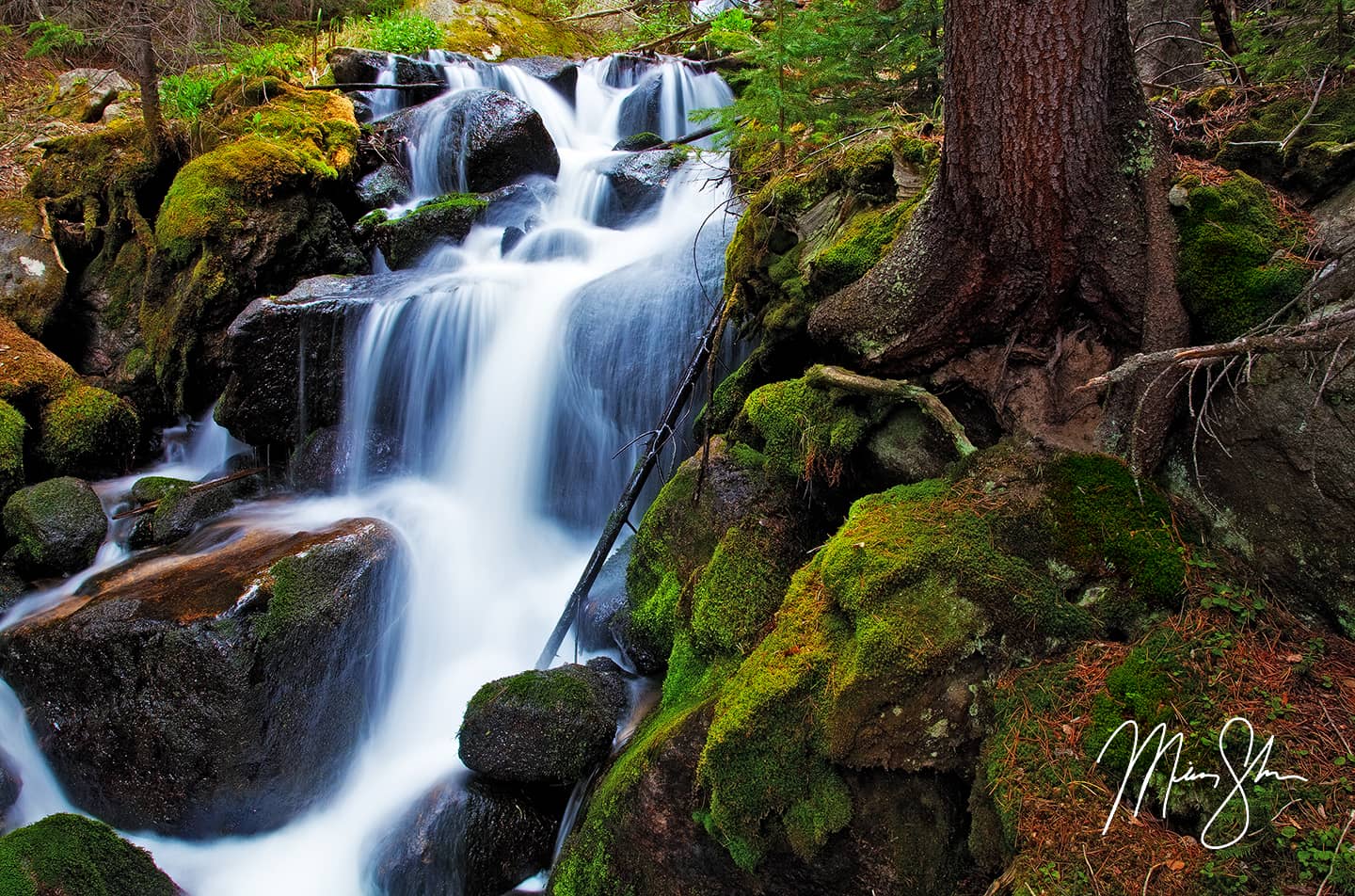 Eternal Flow - Boulder Brook, Estes Park, Rocky Mountain National Park, Colorado