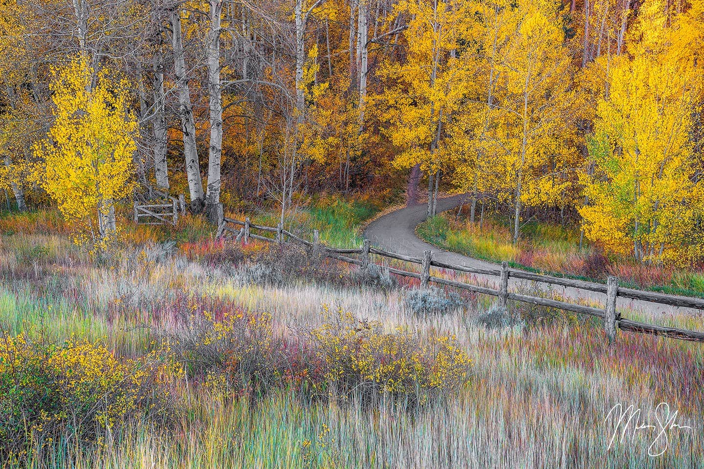 Autumn Pathways - Snowmass Village, Colorado