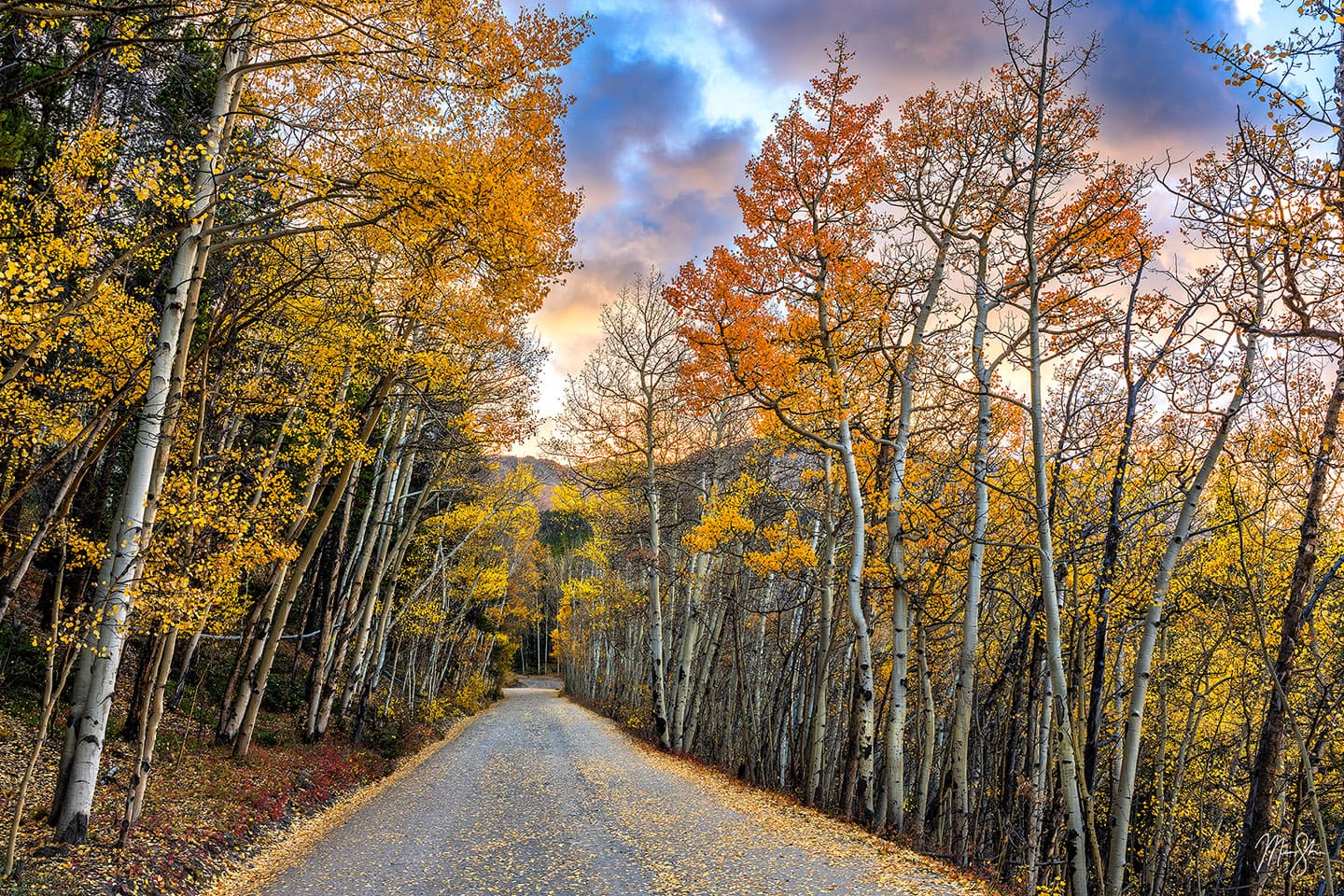Fleeting Autumn on Boreas Pass -  Boreas Pass Road, Near Breckenridge, Summit County, Colorado